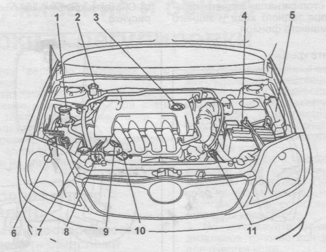 1zz Fe Engine Diagram